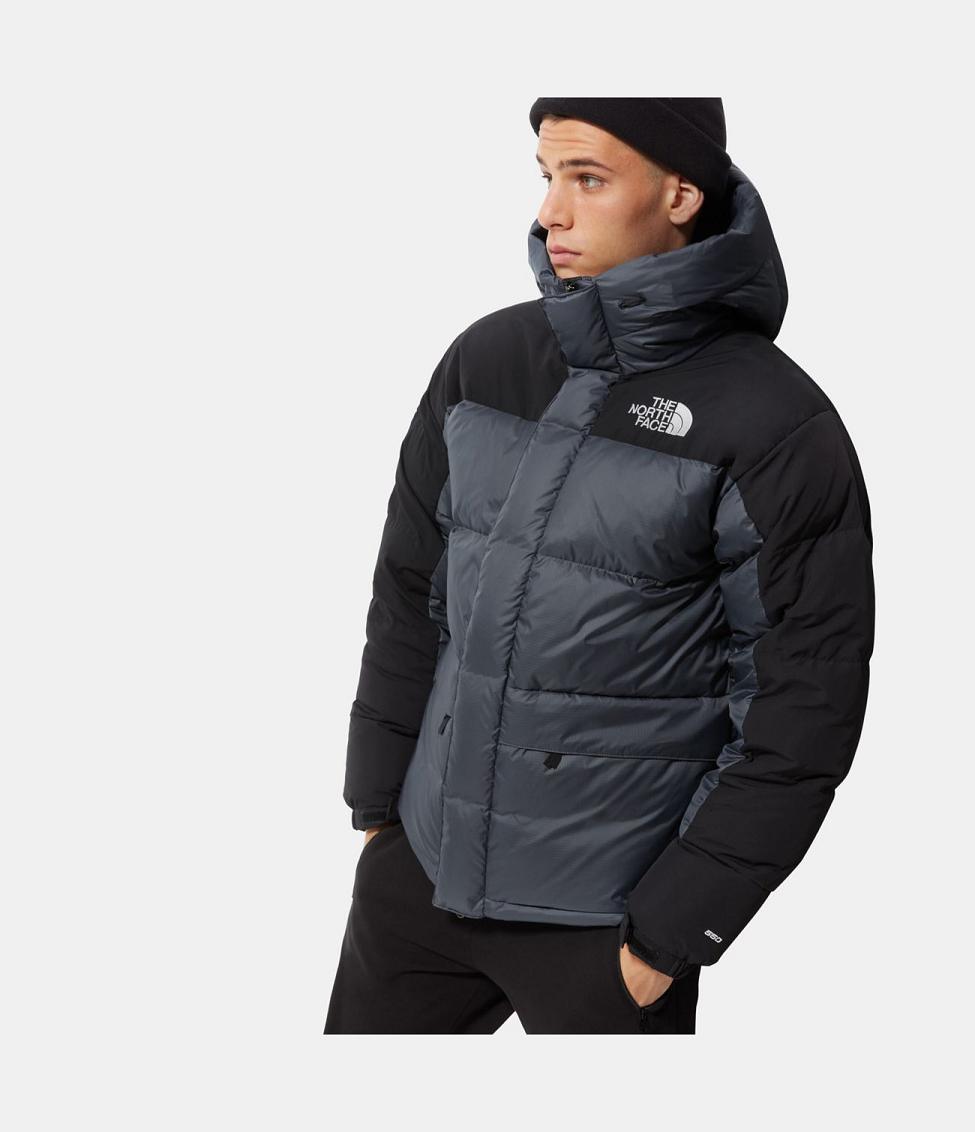 The North Face Mens Parka The Online 